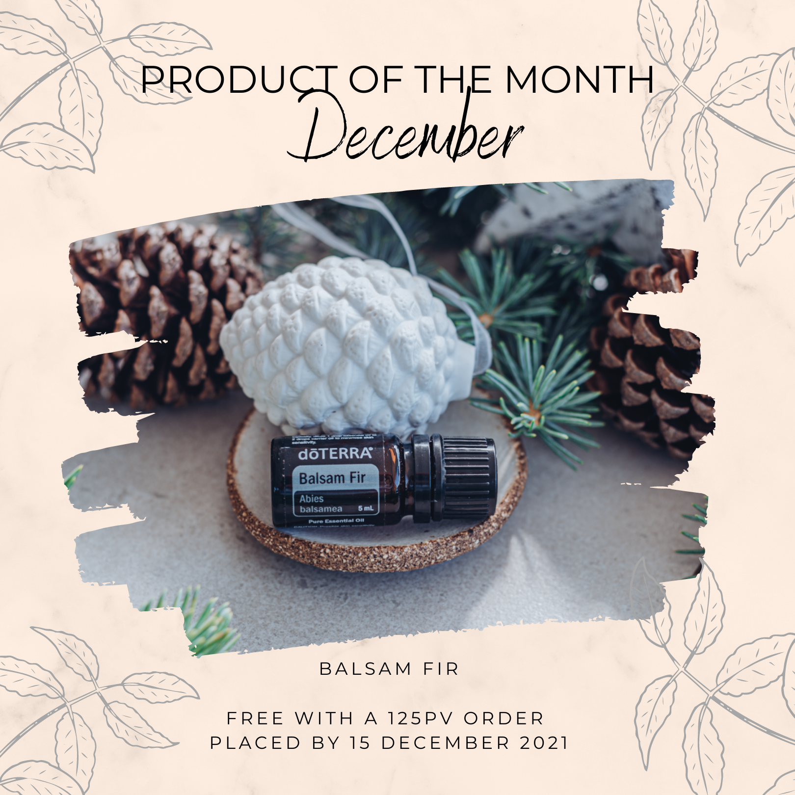 Product of the Month - Balsam Fir