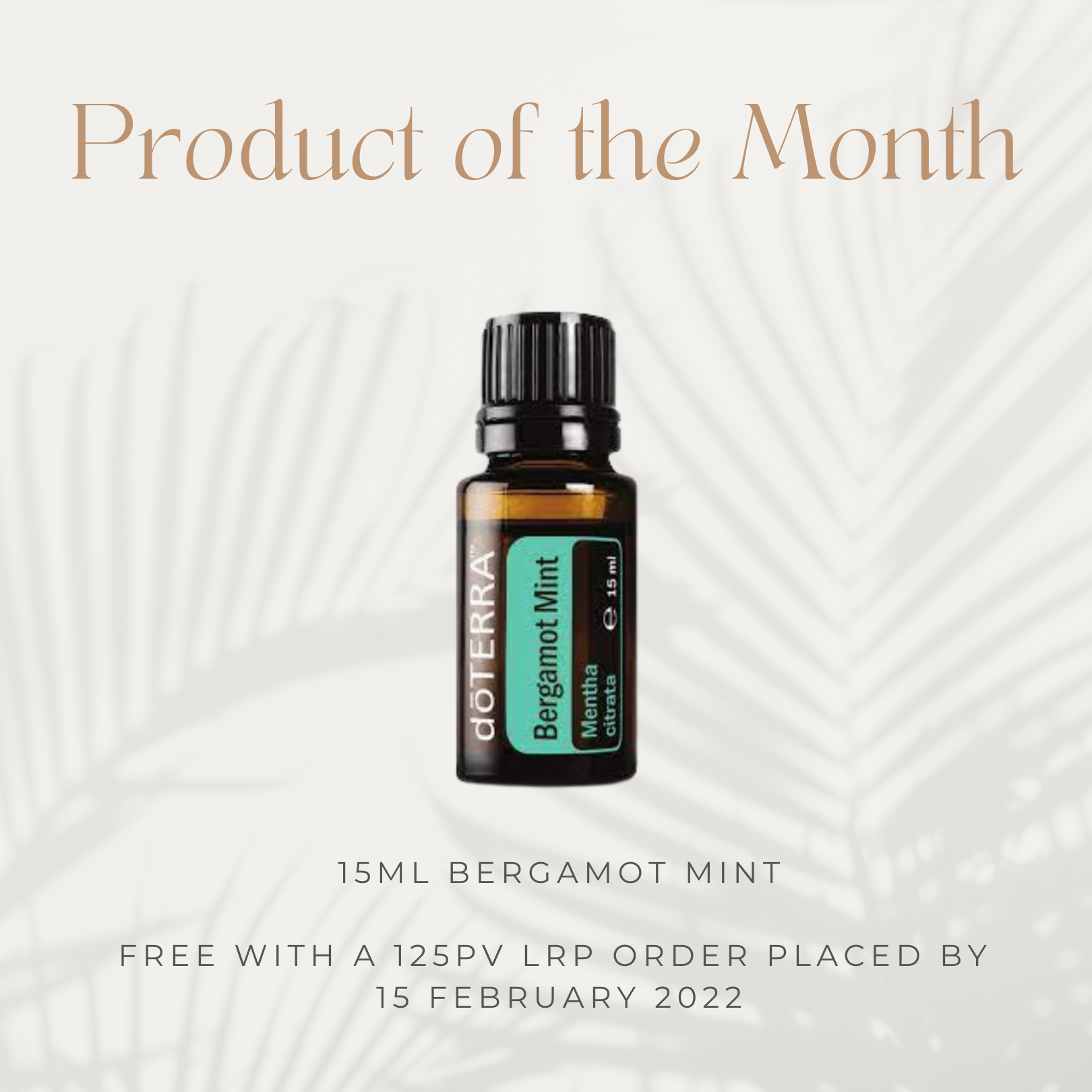 Product of the Month - Bergamot Mint