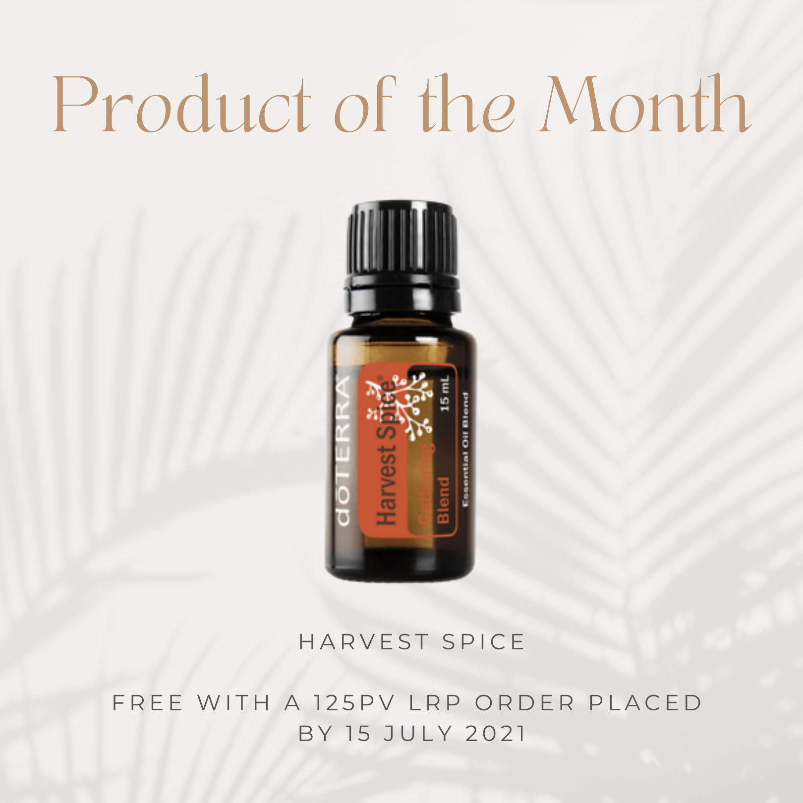 July Product of the Month - Harvest Spice