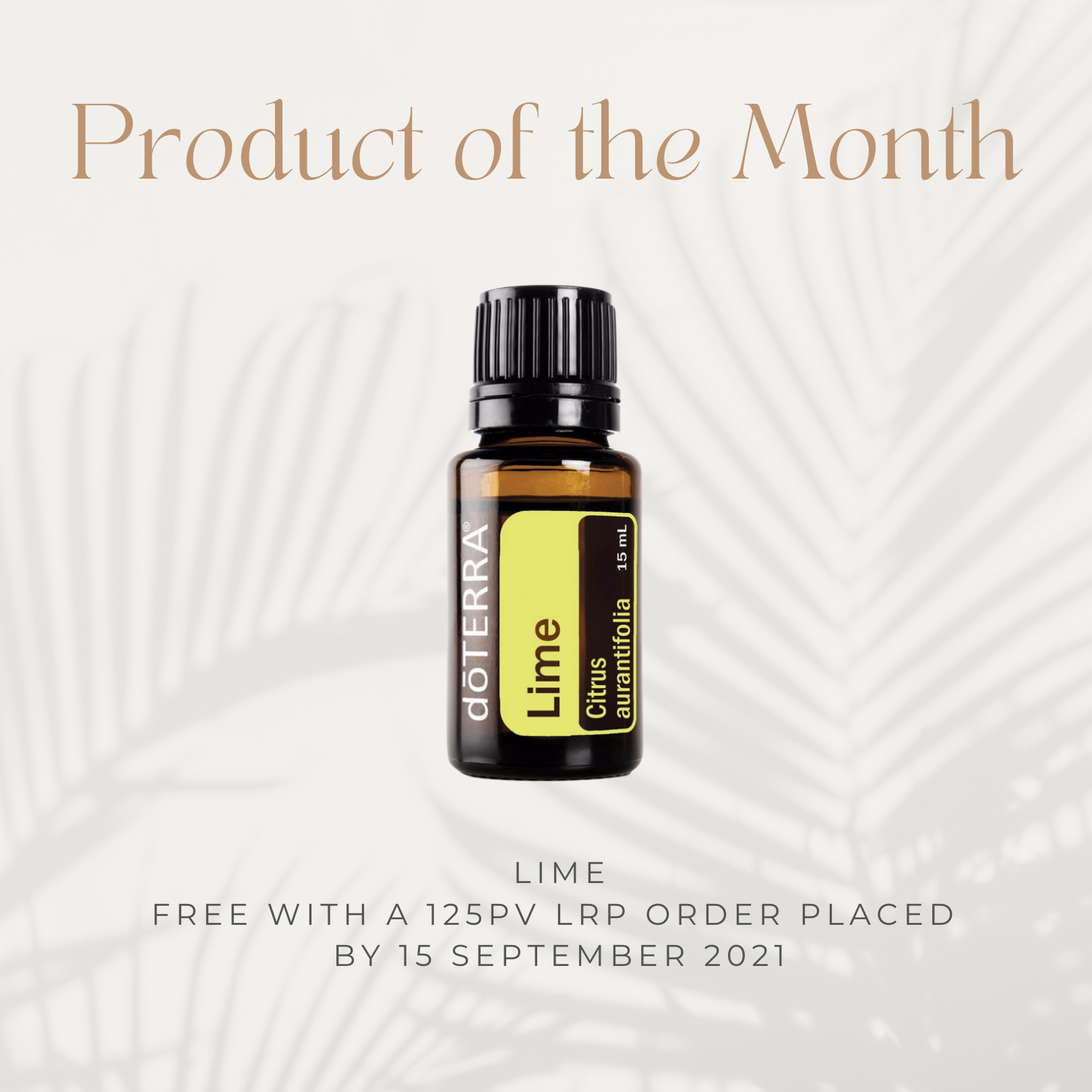 Product of the Month - Lime 15mL