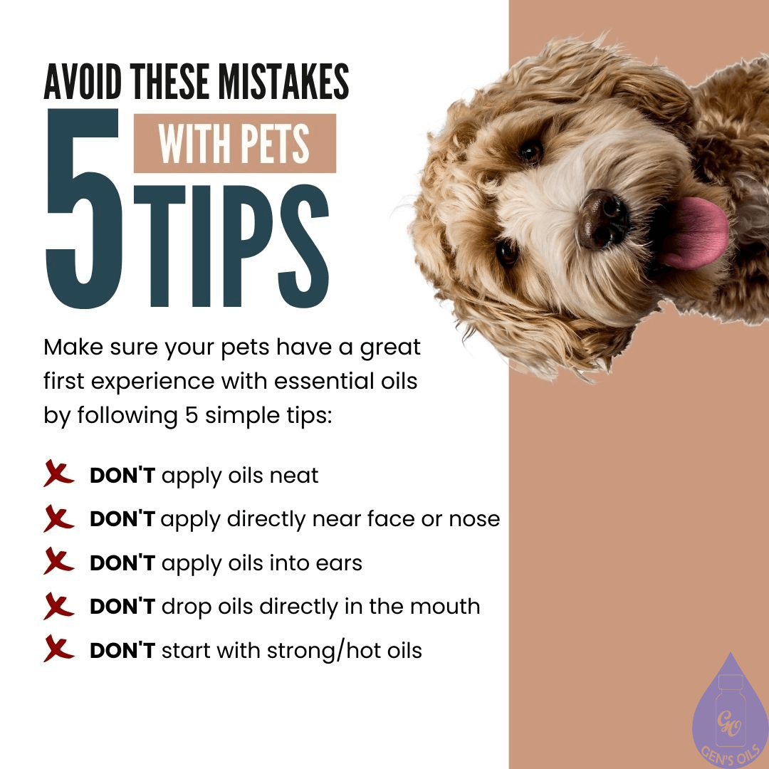 Avoid these mistakes with pets. 5 Tips