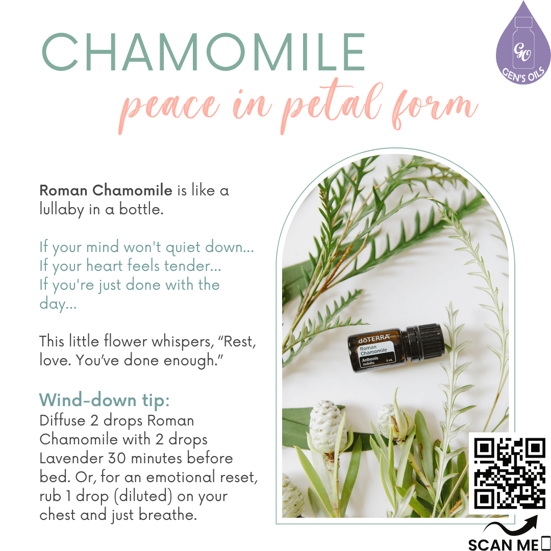 Roman Chamomile. Peace in petal form. Scan the QR code to purchase Roman Chamomile essential oil.
