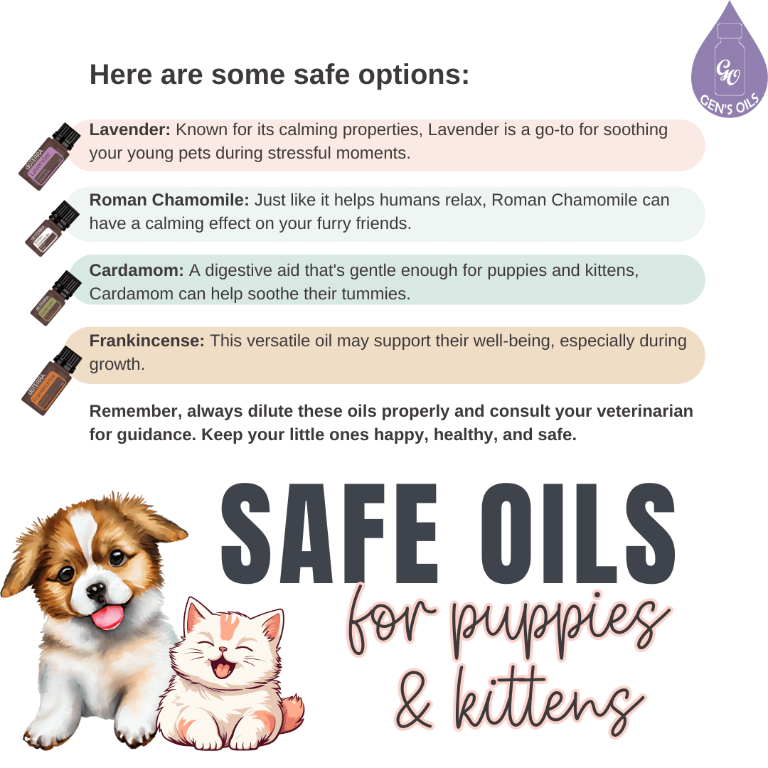 Safe Oils for Puppies & Kittens