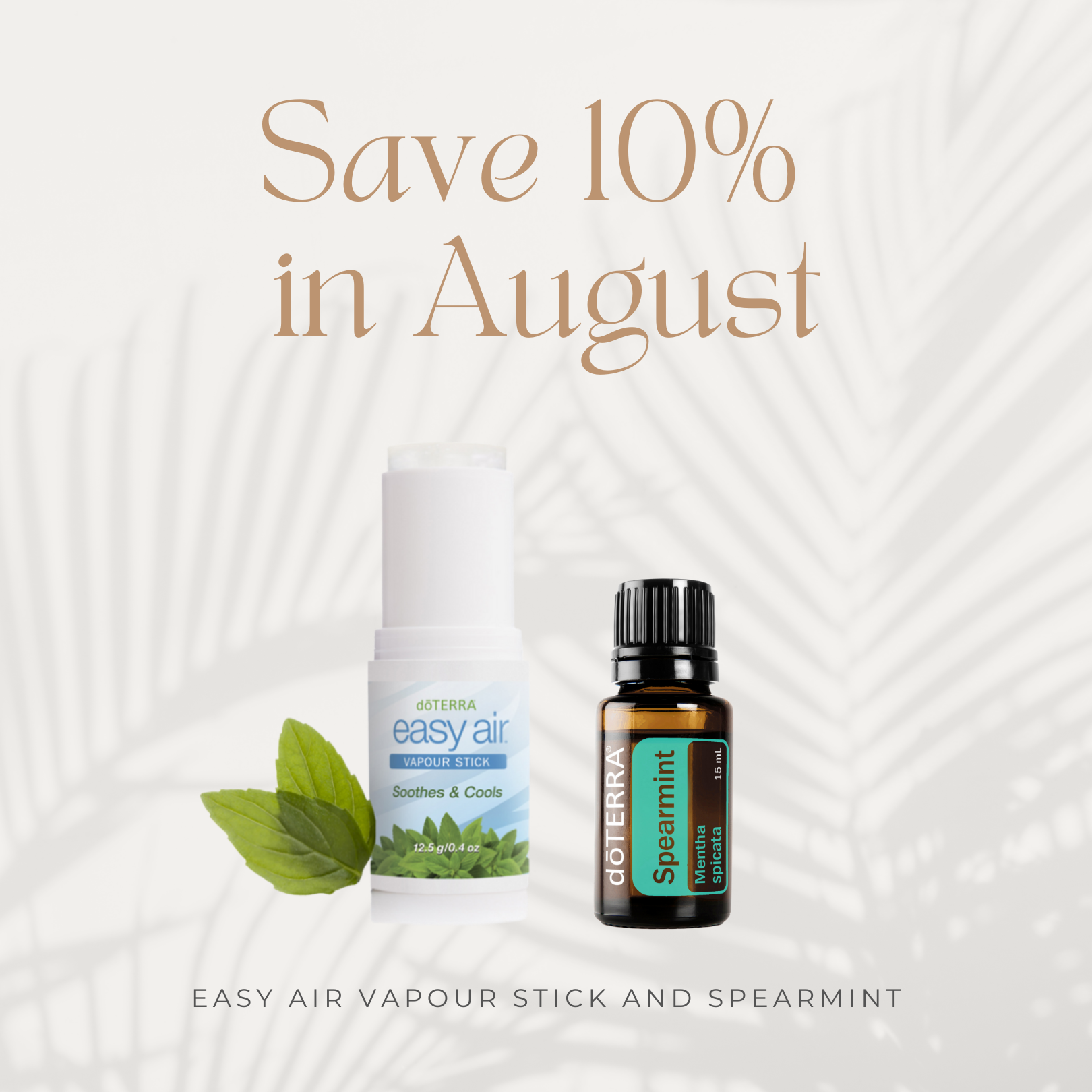 Save 10% in August - Easy Air Vapour Stick & Spearmint