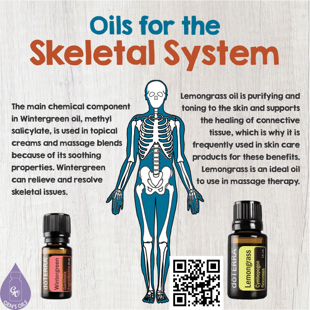 Oils for the Skeletal System. A skeleton with a bottle of Wintergreen & Lemongrass on each side. The QR code opens a link to purchase these oils. 