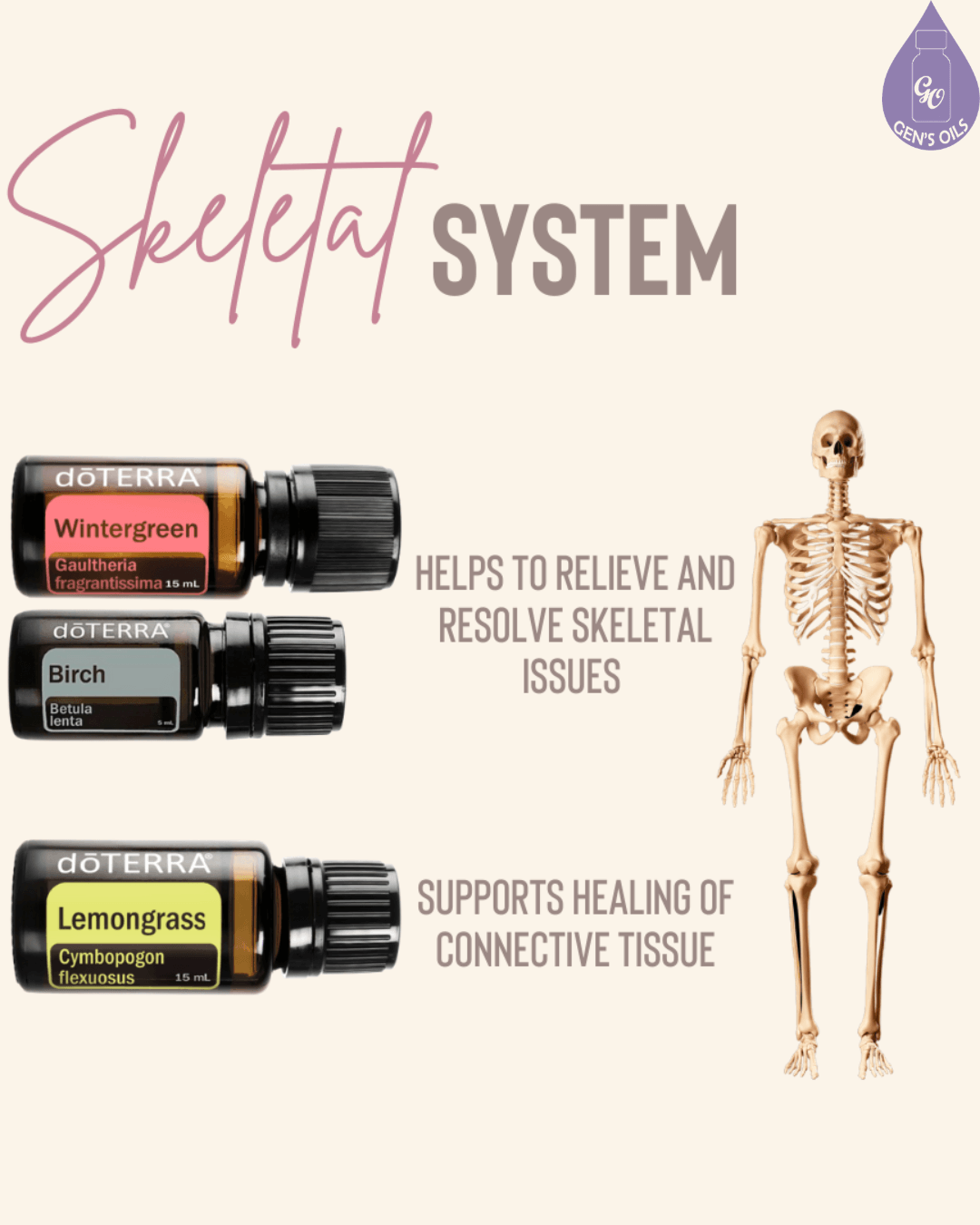 Three doTERRA essential oil bottles labeled Wintergreen, Birch, and Lemongrass are shown next to text about skeletal system support and a diagram of the human skeleton.