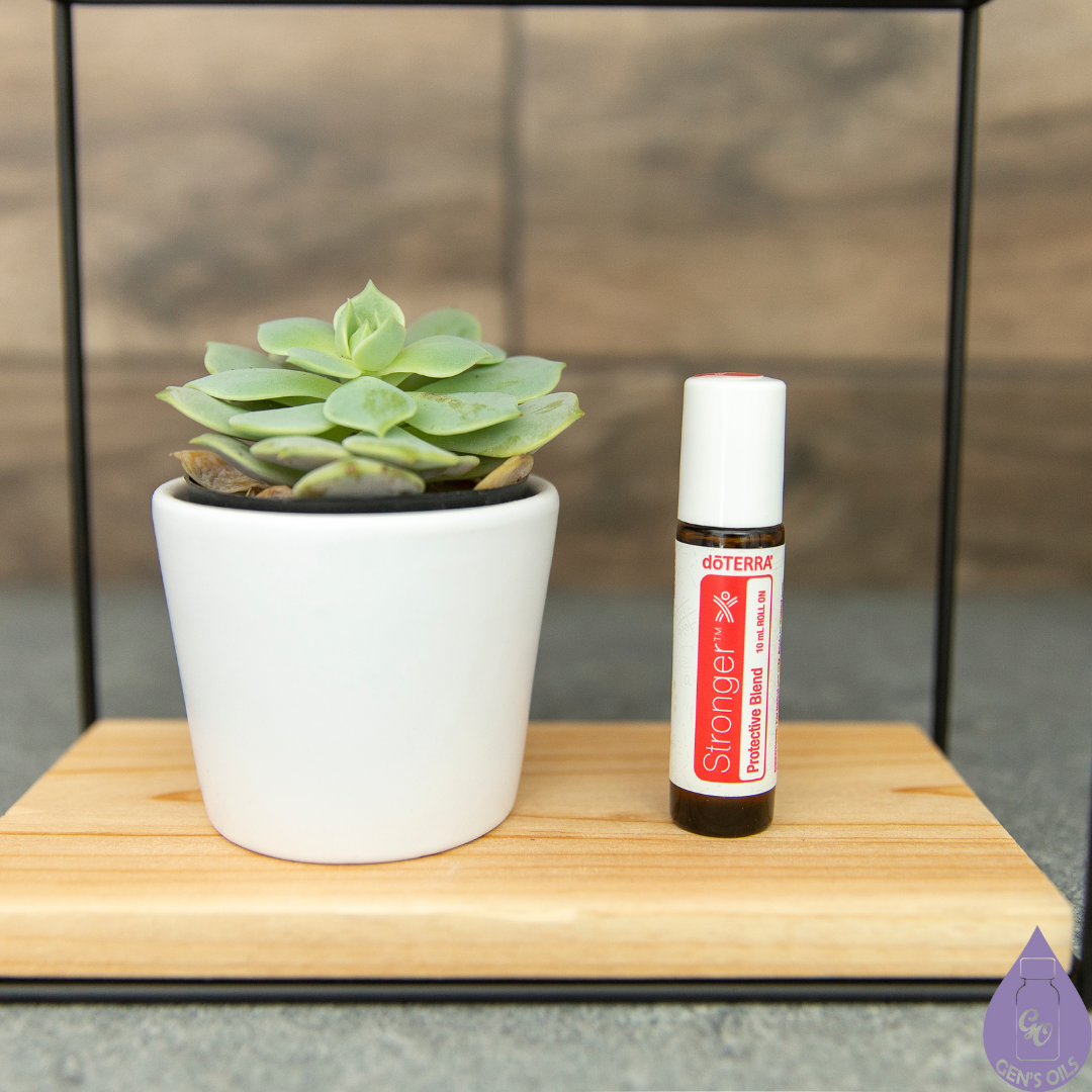 A shelf with a plant & Stronger Protect Blend
