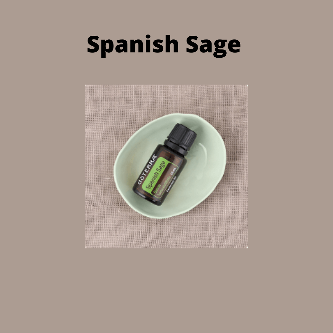 A bottle of Spanish Sage essential oil resting in a dish.