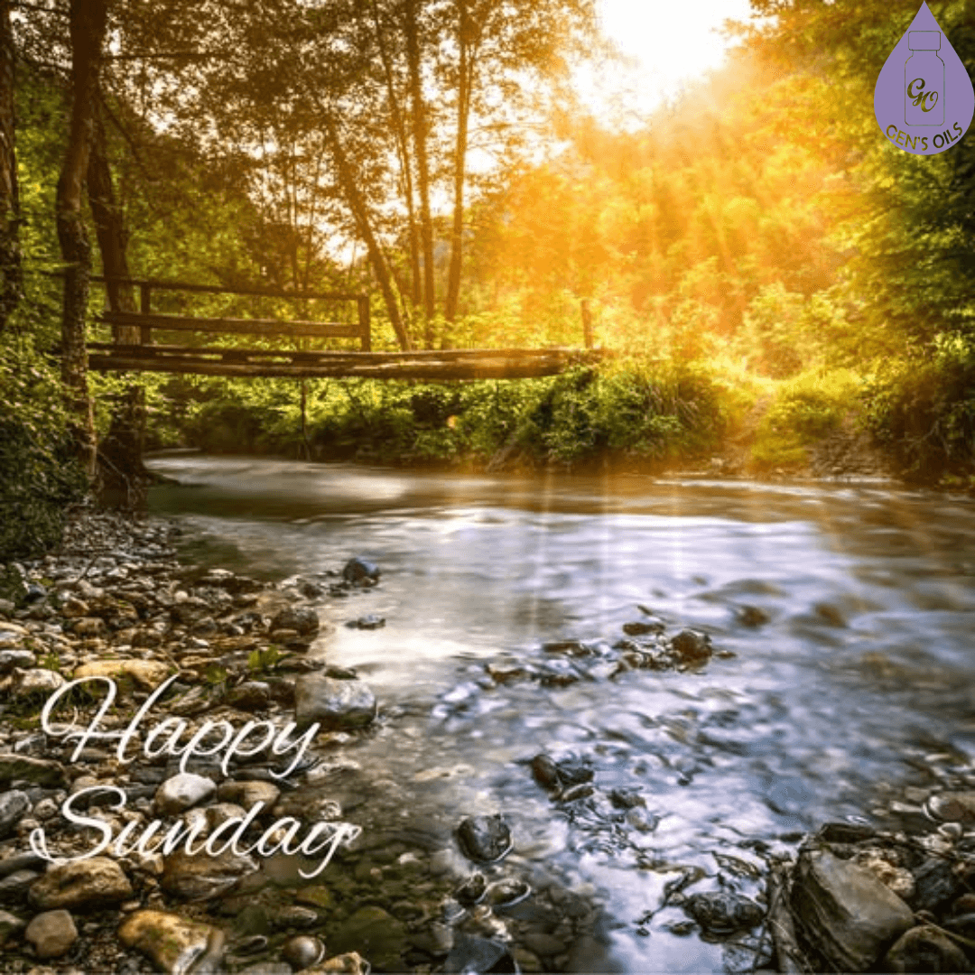 Sunlit forest scene with a wooden bridge over a flowing stream. Text overlay reads: ‘Happy Sunday."