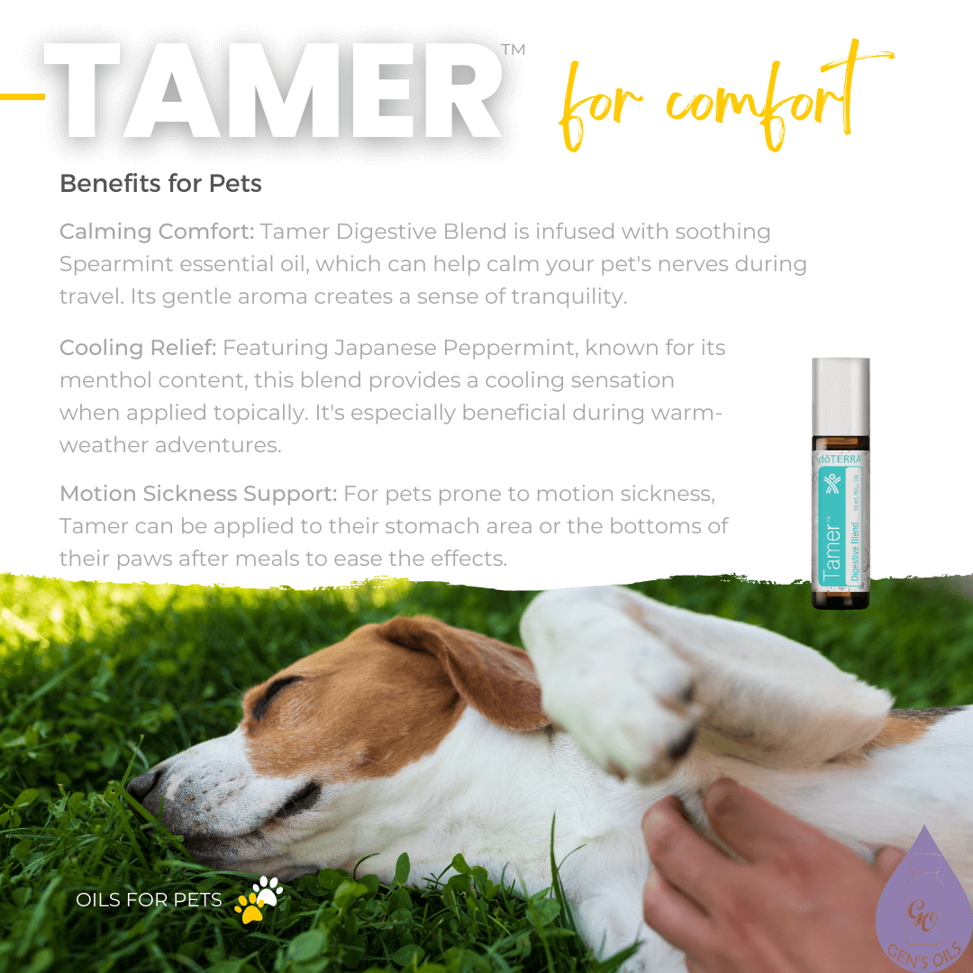 Tamer for comfort. Benefits for Pets