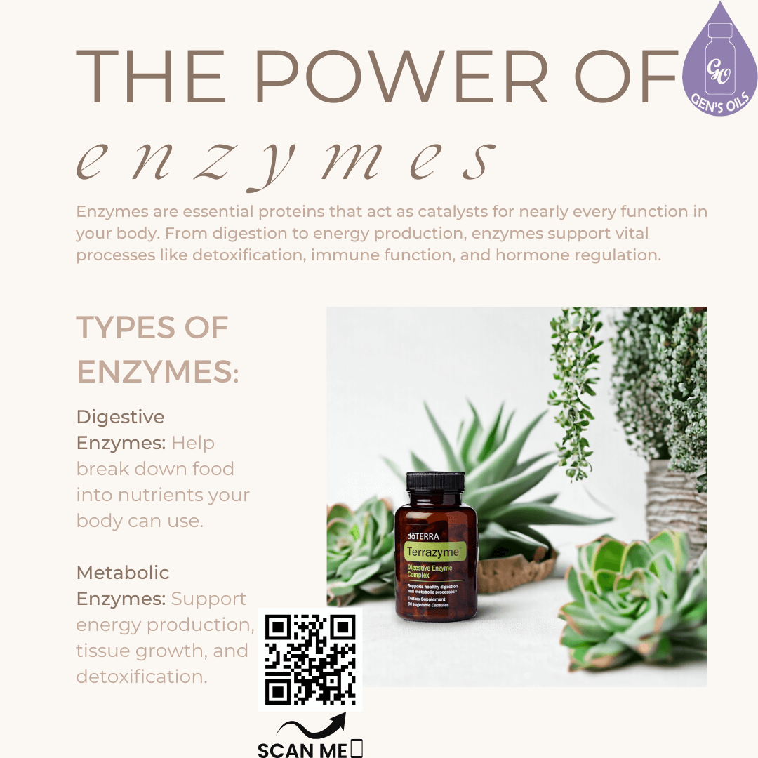 The Power of Enzymes with a bottle of TerraZyme. The QR code opens a link to purchase TerrayZyme..