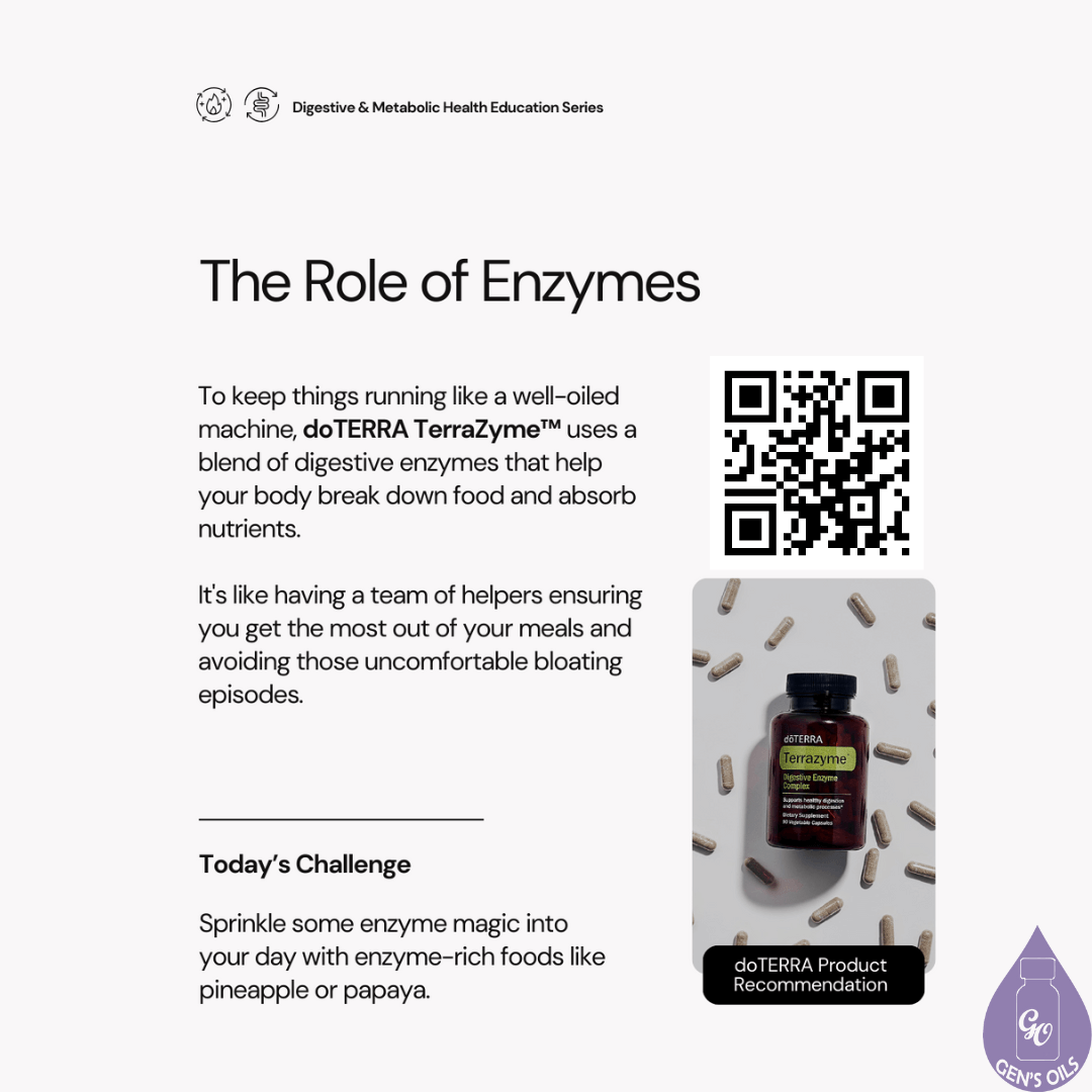 The Role of Enzymes. Image of a bottle of TerraZyme with capsules surrounding it. Above the image is a bar code which opens a link to purchase TerraZyme..