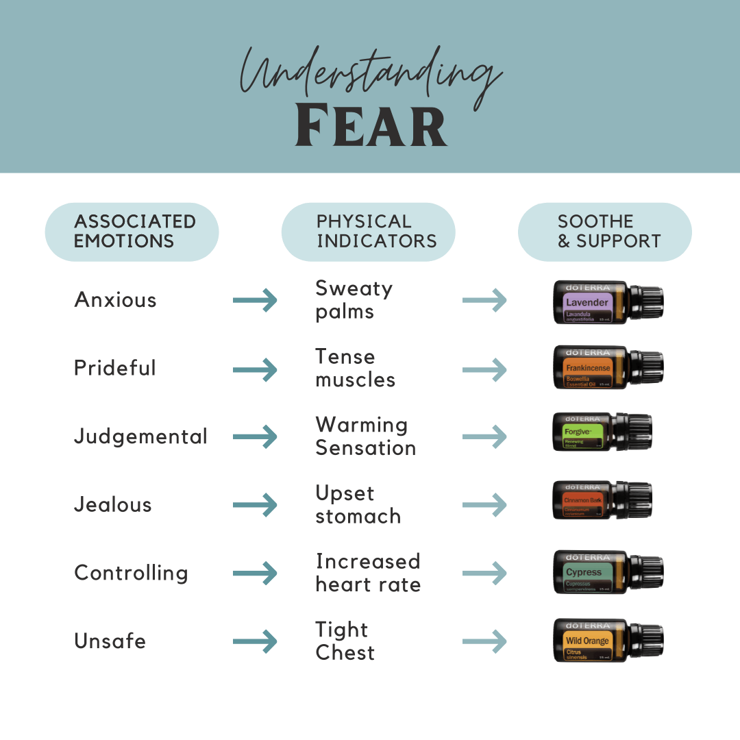 Understanding Fear. Associated Emotions. Physical Indicators. Soothe & Support