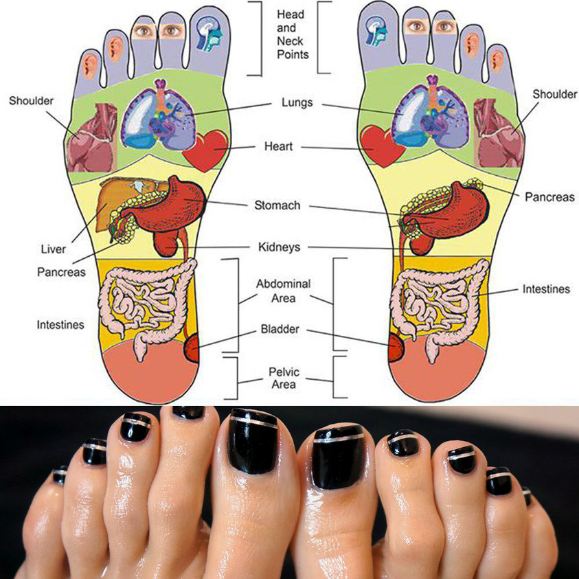 Reflexology points on our feet.