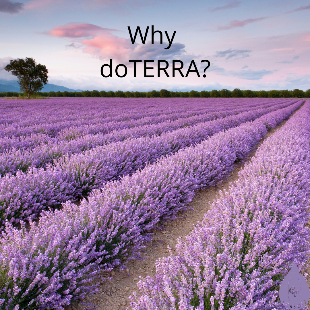 Cover of Why doTERRA? eBook