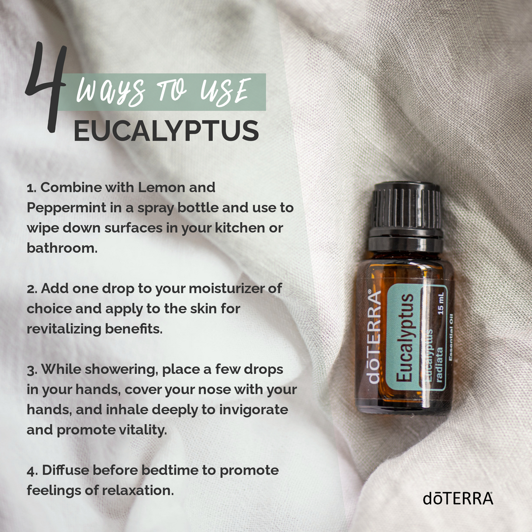 4 Ways to Use Eucalyptus Essential Oil