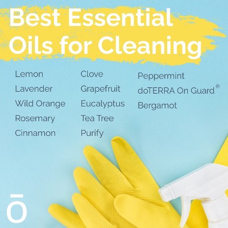 doTERRA Essential Oils and Natural Cleaning Solutions, toxins in the home, green cleaning products
