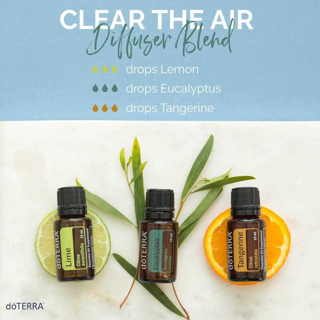 Clear The Air Diffuser Blend