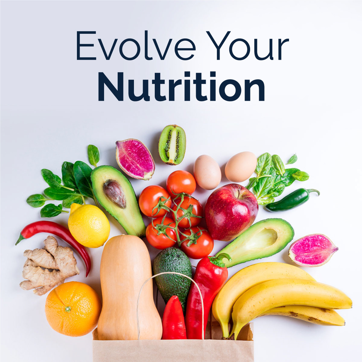 Lifelong Vitality, Nutrition, Supplements, Protein Shakes