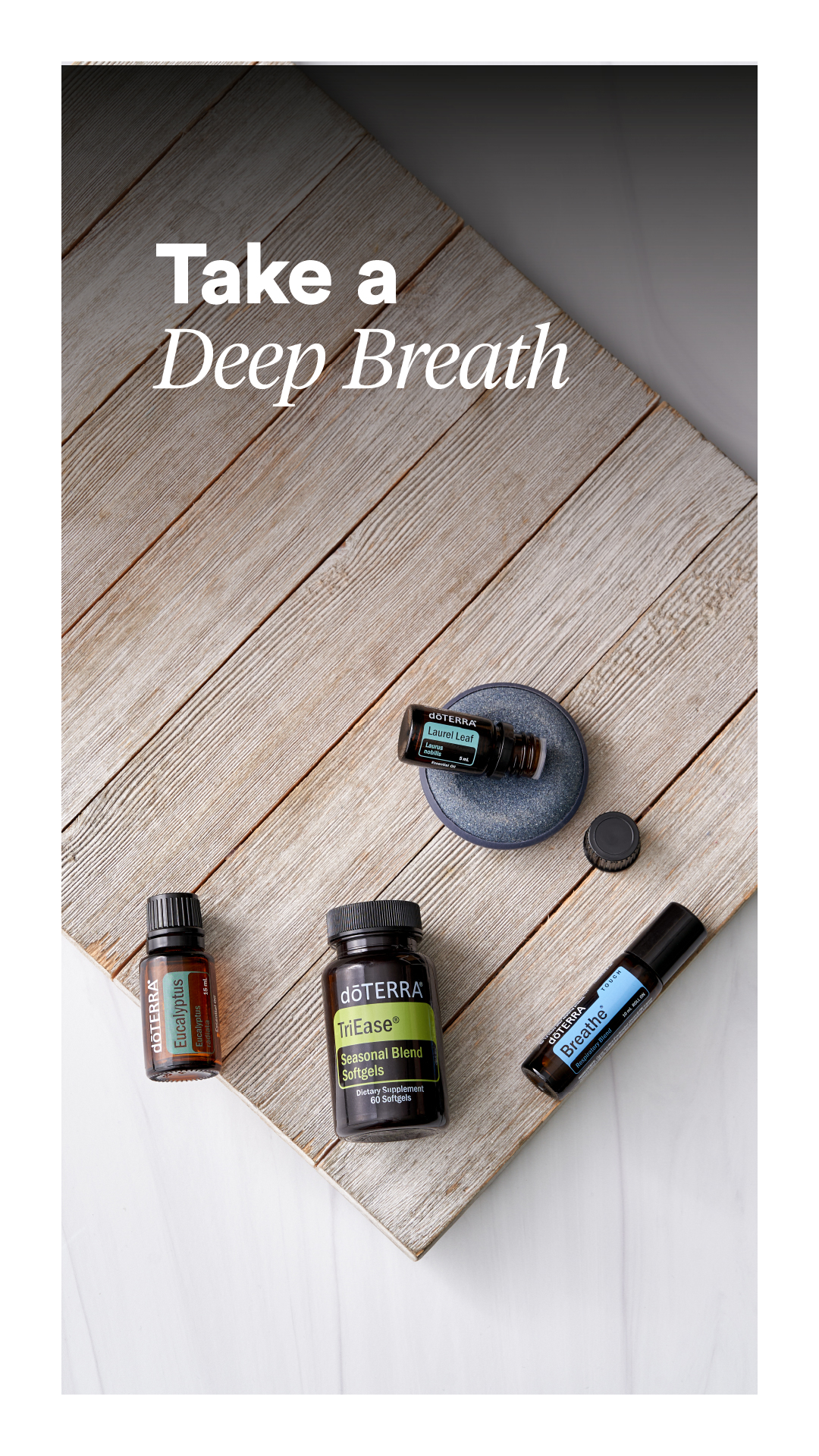 Take a Deep Breath, doTERRA Respiratory Essential Oils