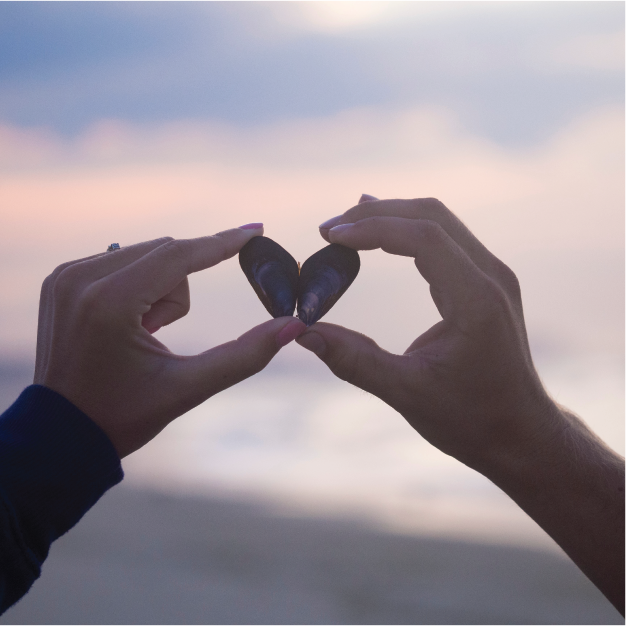 hands holding shell in the shape of heart