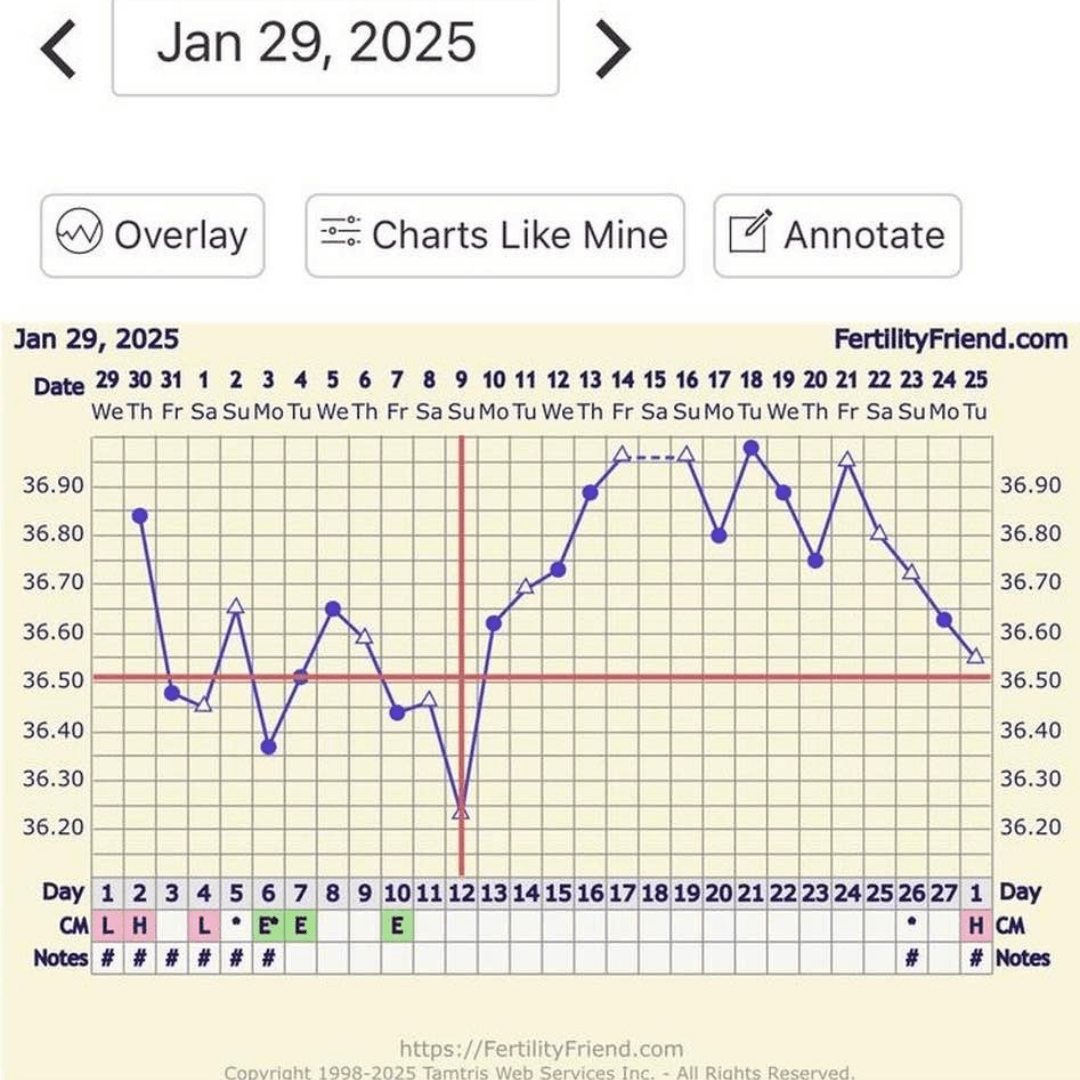 Basal body temperature chart showing biphasic pattern with temperature rise after ovulation, used in fertility tracking
