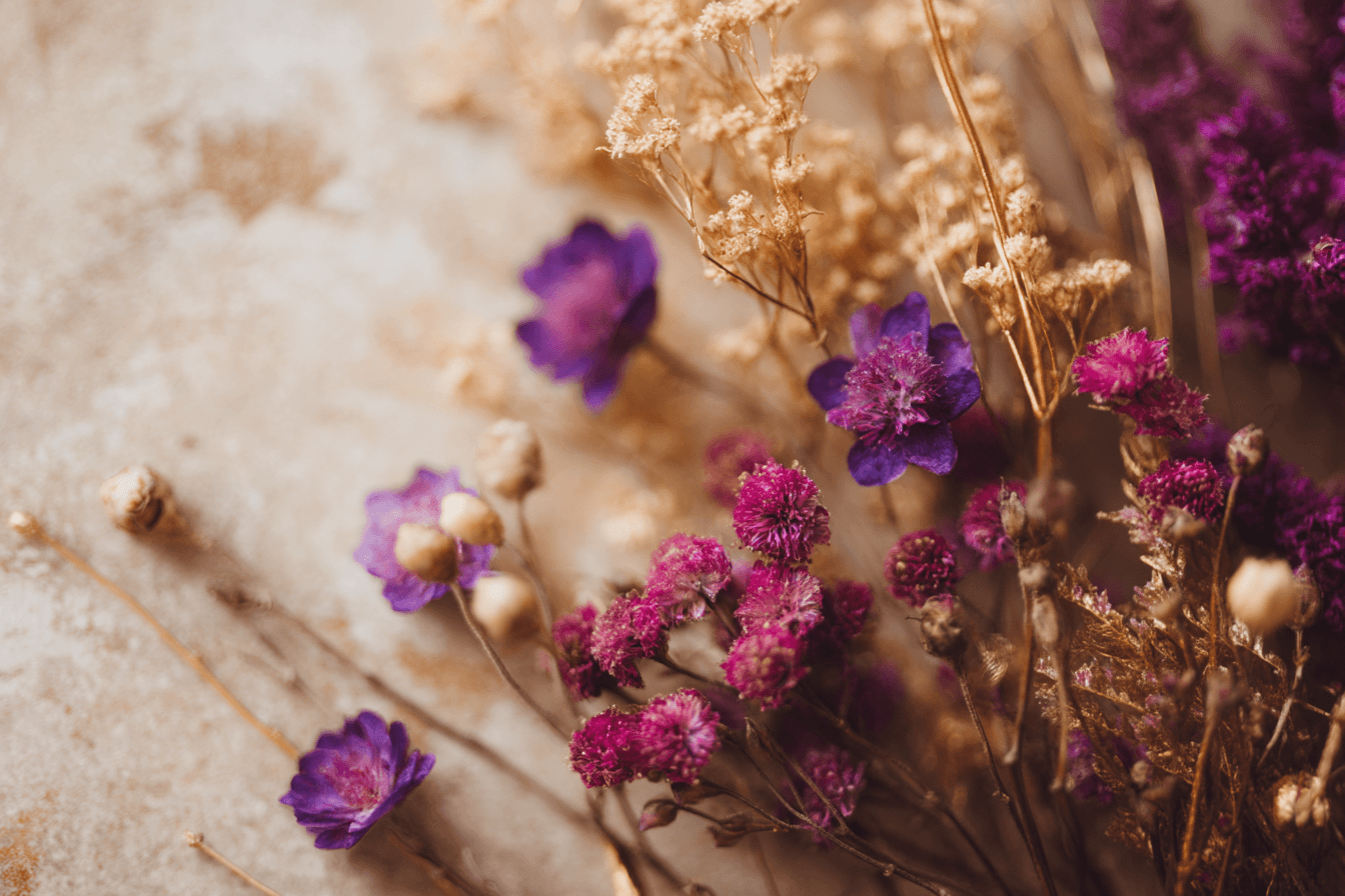 Close-up botanical still life of dried herbs and wildflowers on a warm neutral surface