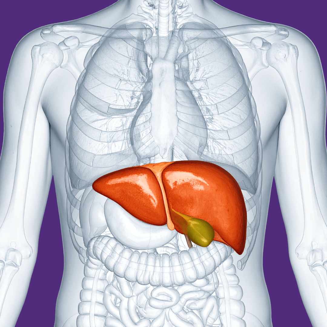 Diagram showing uterine and liver castor oil pack placement positions on the abdomen