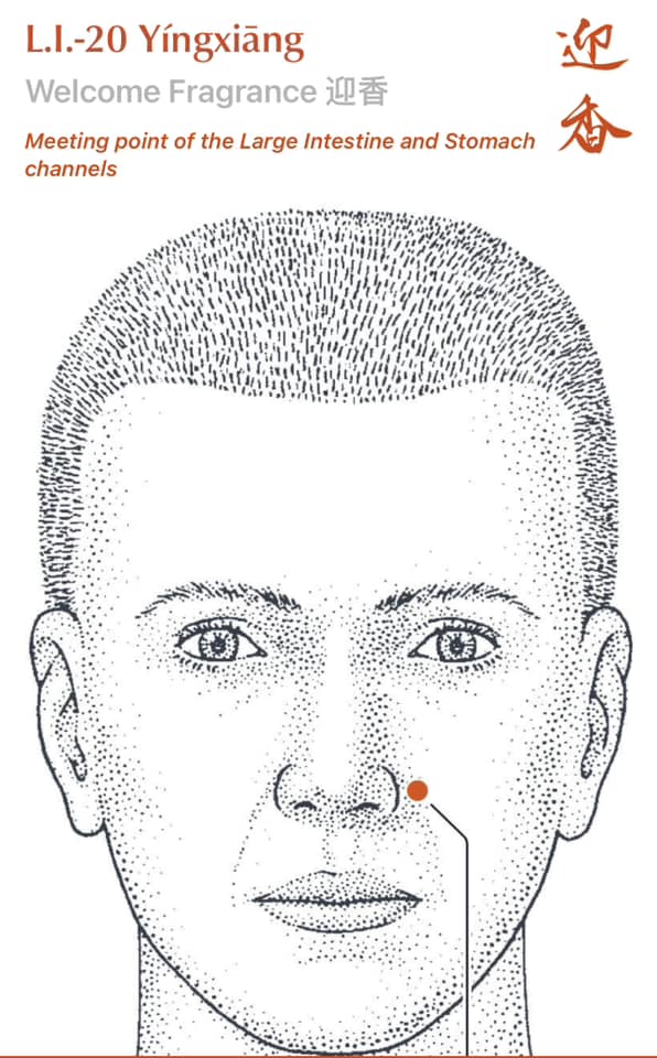 LI 20 Welcome Fragrance acupuncture point location beside the nostrils, used to relieve nasal congestion and hay fever symptoms