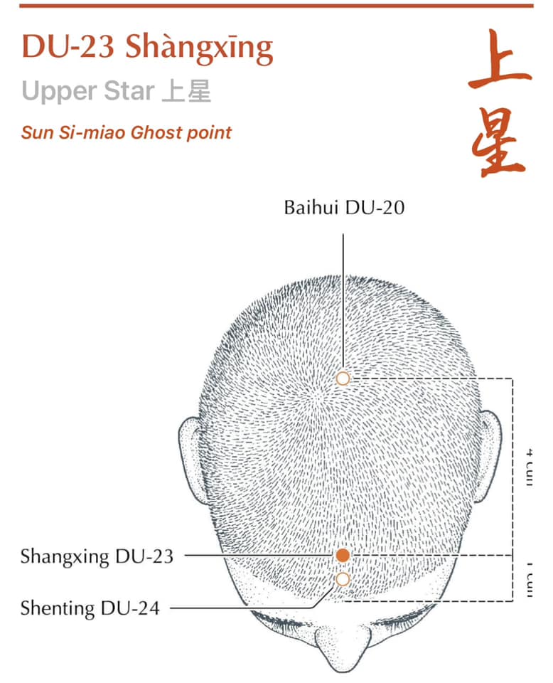 DU 20 Upper Star acupuncture point on the forehead used to clear sinus blockage and improve breathing in hay fever acupuncture