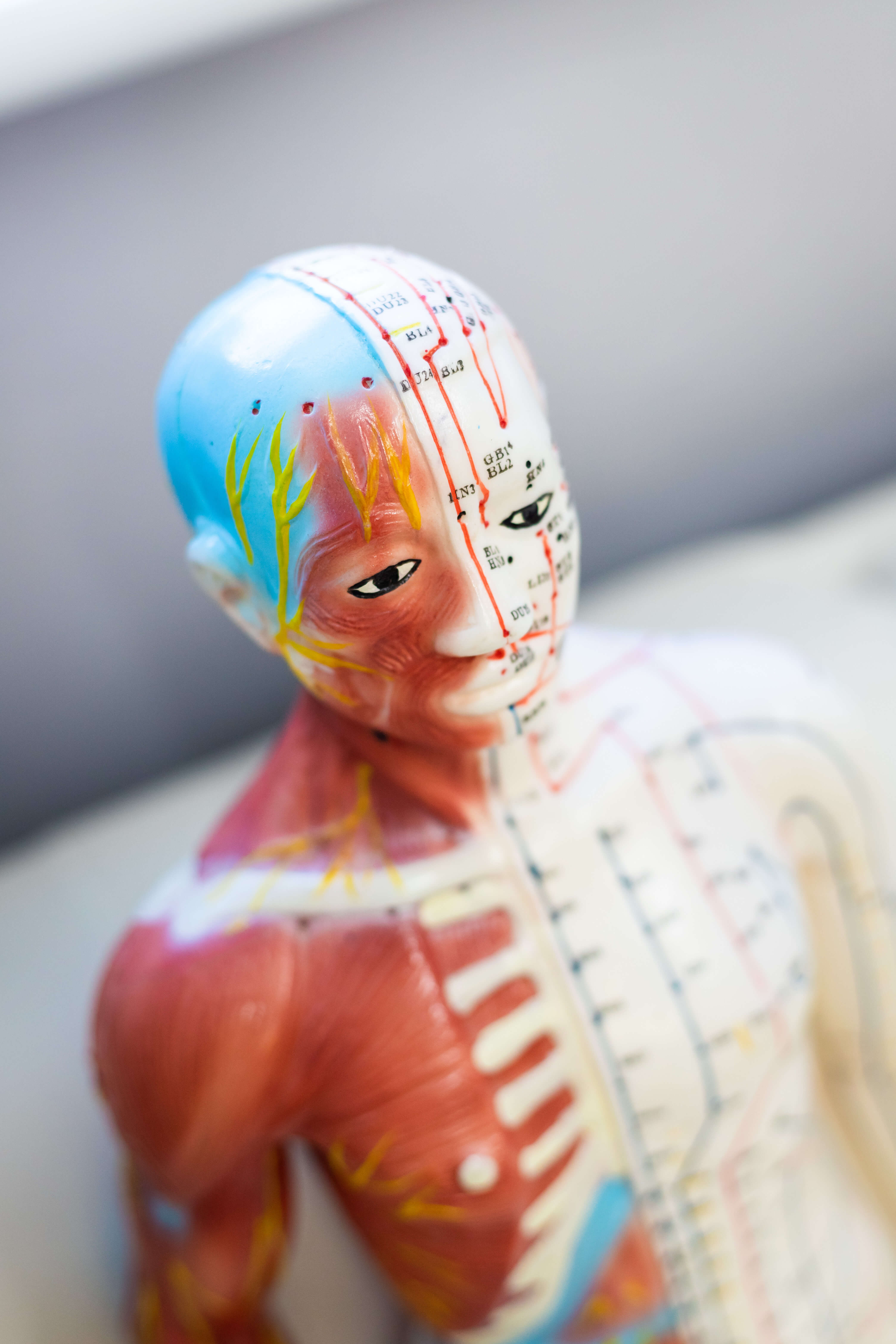 acupressure vs acupuncture: which traditional chinese medicine treatment is right for you?, details