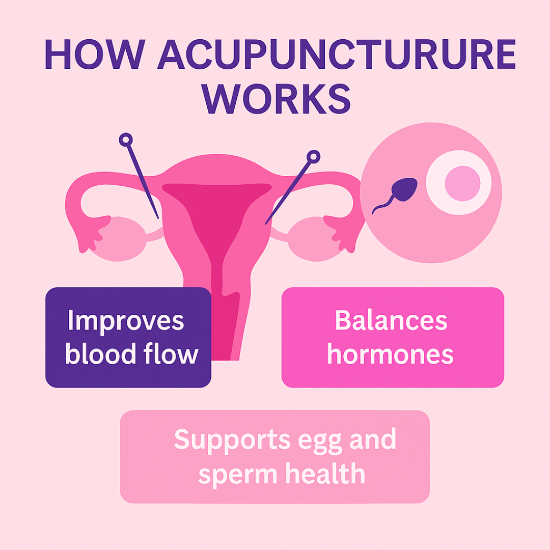 Illustration showing how fertility acupuncture works: improving blood flow, balancing hormones, supporting egg and sperm health