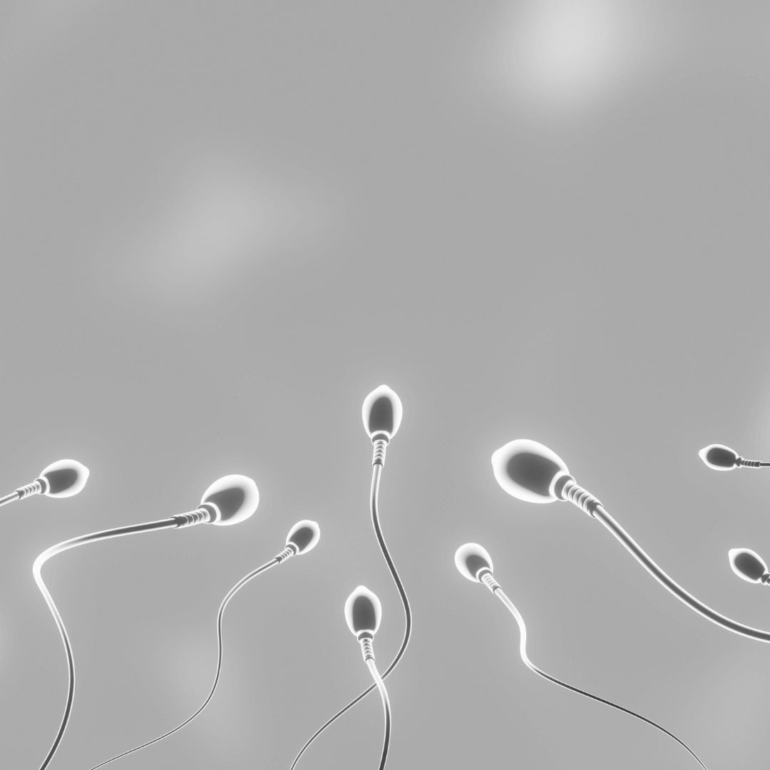 Acupuncture for male fertility and sperm health support at Deanna Thomas Acupuncture and Wellbeing, Middlesbrough