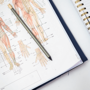 Acupuncture training materials showing meridian diagrams and treatment notes used in professional study
