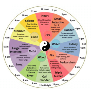 Traditional Chinese Medicine body clock diagram showing organ energy cycles and how winter can affect energy levels and tiredness.