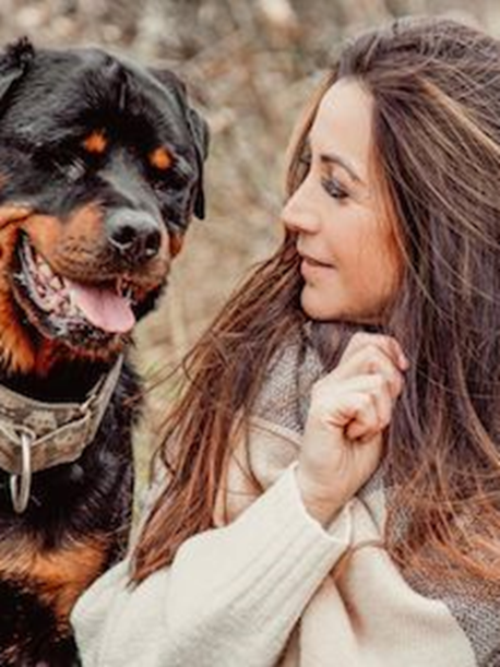 Canine Counselling Session (90 minute)