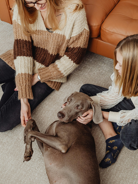 4 Canine Counselling Sessions (60 Minutes)