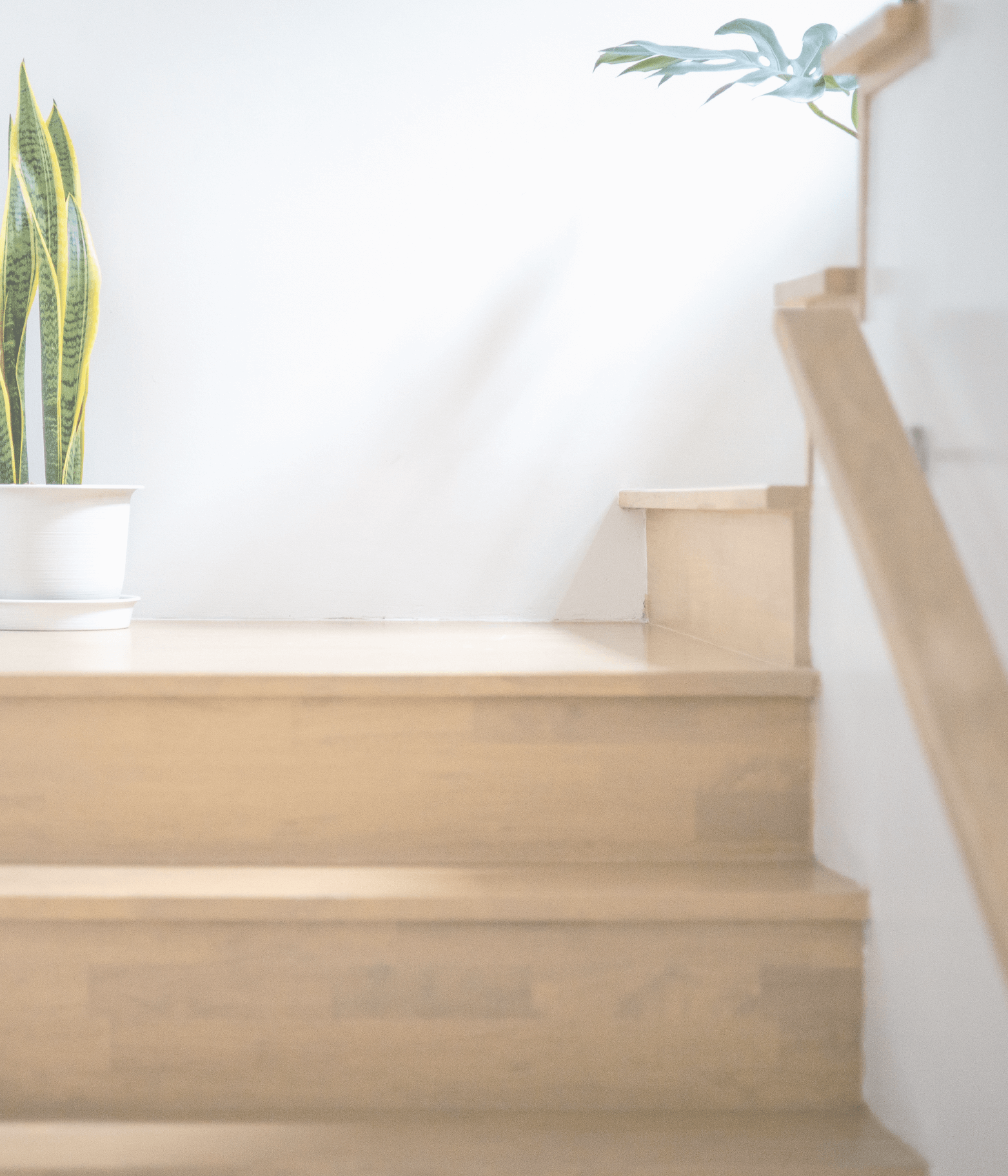 stairs inside a family home