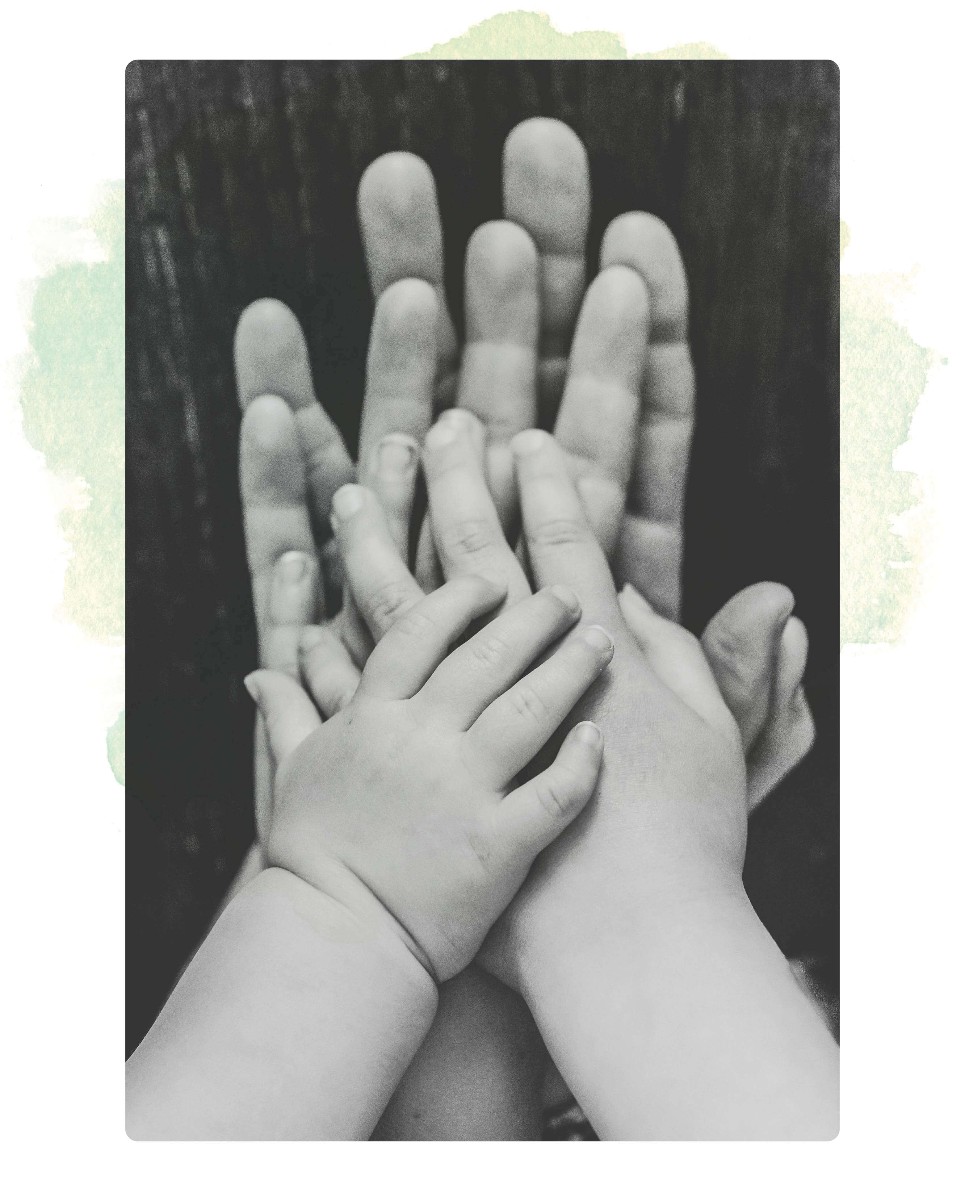 a childs hands are joined with parents hands