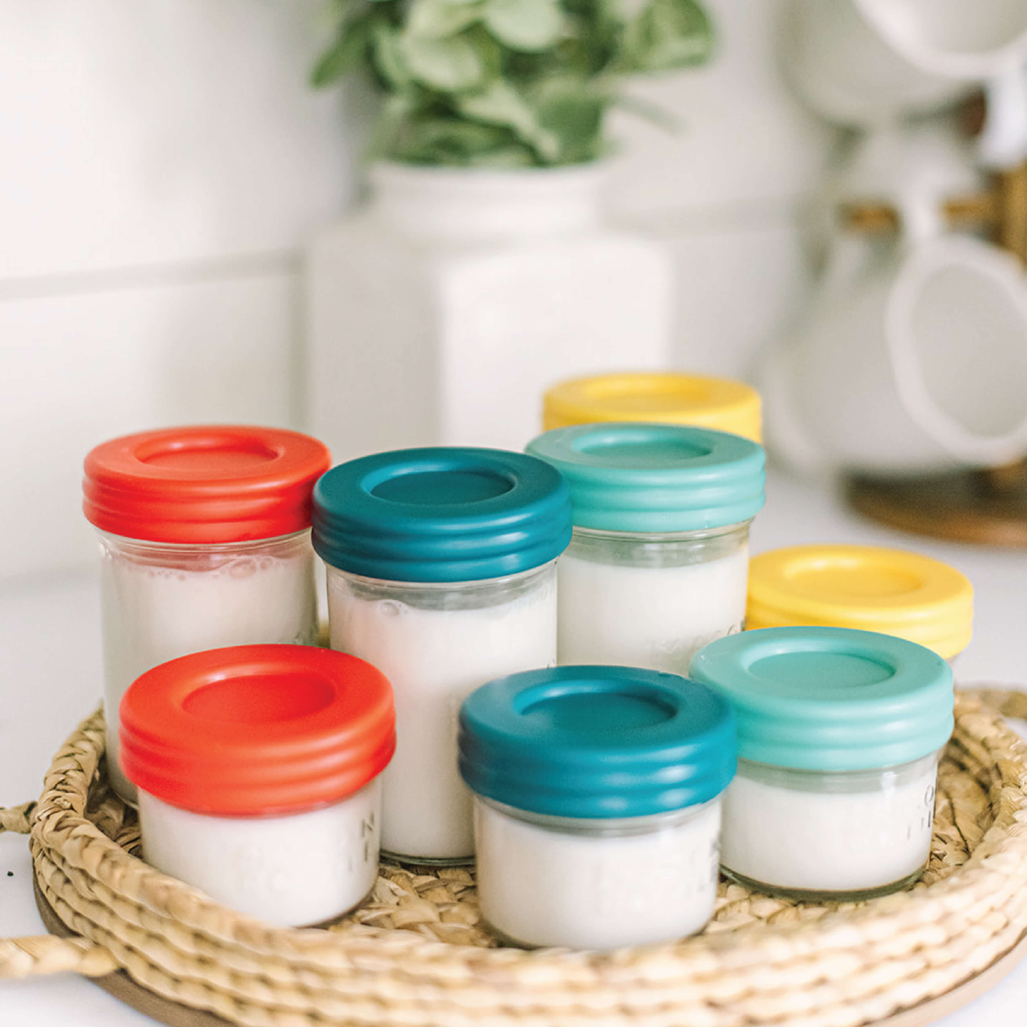 plastic bottles of milk