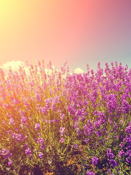 Mama's Day DIY Gift Making Class 2024