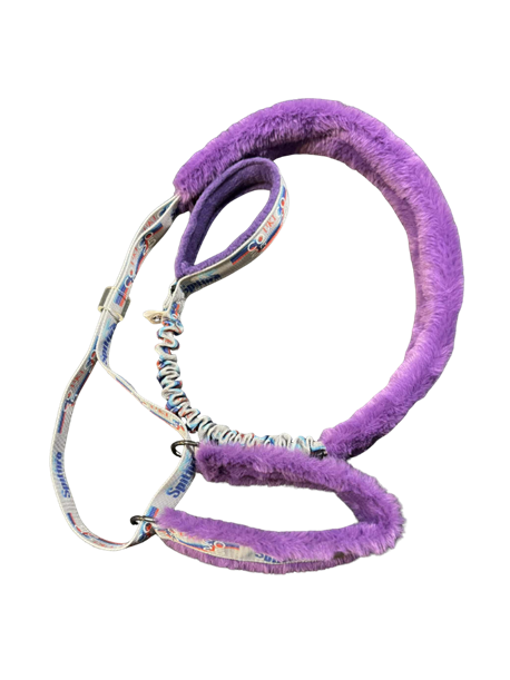 Slip Leash Your Choice