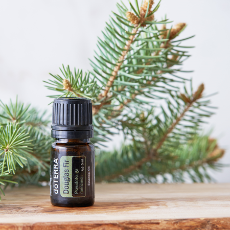 Douglas fir - 5 ml