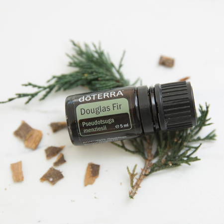 Douglas fir - 5 ml