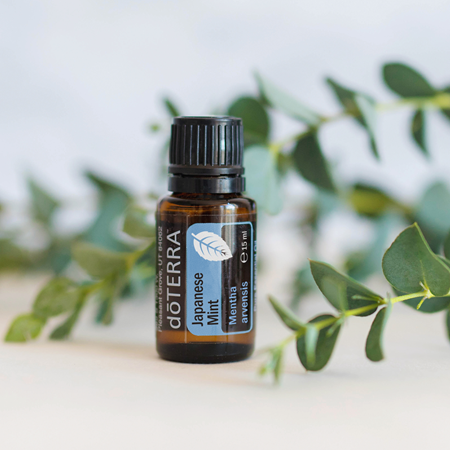 Japanese Mint - 15 ml