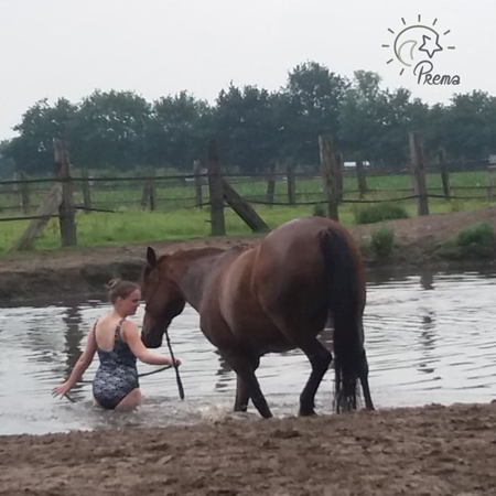 Essential oil experience / Essentiële olie ervaring