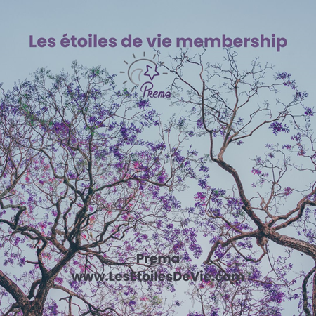 Membership / Lidmaatschap