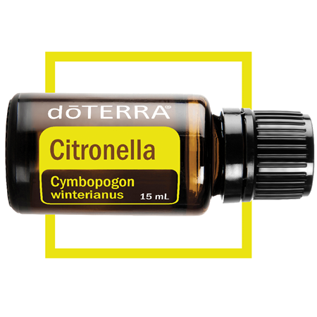 Citronella - 15 ml