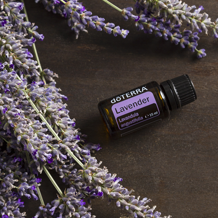 Lavender - 15 ml