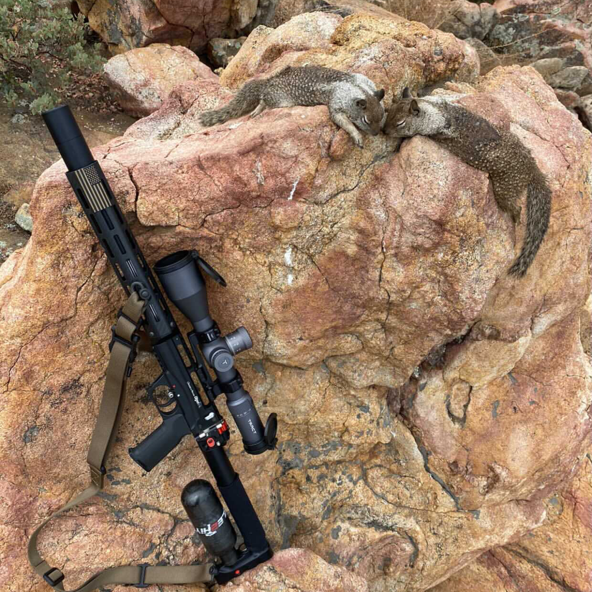 Edgun Leshiy 2 Badger (REPR-X)